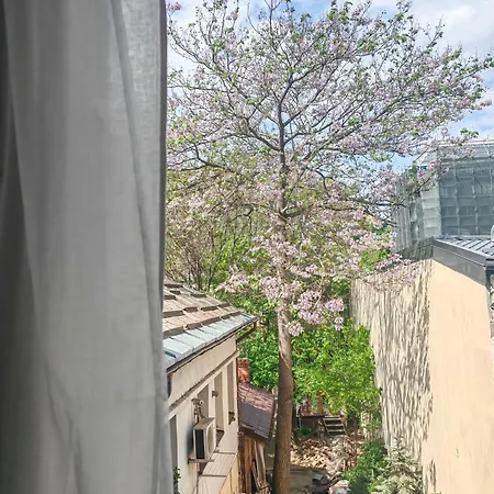 Little United Kingdom Embassy